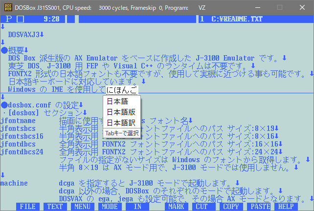 Vz で日本語入力